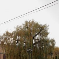 Кисловодск. :: Александр Николаев