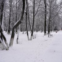 В парке :: Сергей Ц