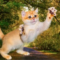 Уже ловлю.... :: Римма Волченко