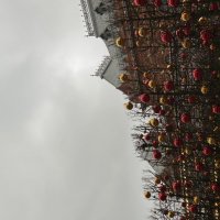 Москва :: Натали 