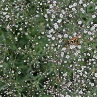 среди "звезд".._))) :: Александр Герасенков среди "звезд".._))) :: Александр Герасенков