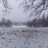 Зимний туман :: Сапсан 