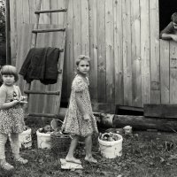 Грибной год... :: СЮ 