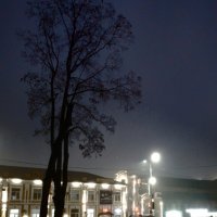 *** :: Валентина Береснева