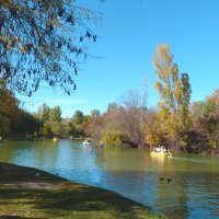 Пейзажи  Гагаринского  парка :: Валентин Семчишин