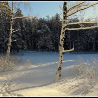 На озере :: Aleksandr Gal