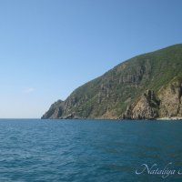 Природа Крыма :: Amazing Cosmea