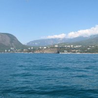 Природа Крыма :: Amazing Cosmea