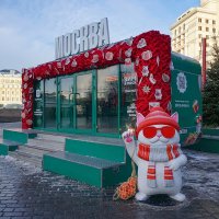 Фестиваль "Зима в Москве" :: Ольга 