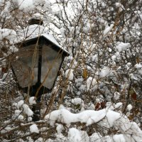 на огонек :: Олег Лукьянов