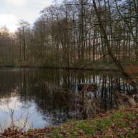 *** :: Николай Гирш *** :: Николай Гирш