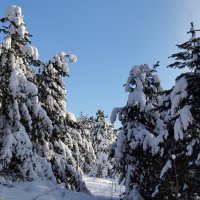 В гостях у сказки!!! :: Радмир Арсеньев