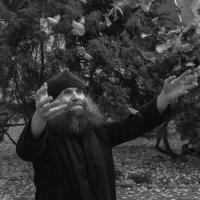 Радости :: Наталья Сафронова