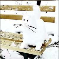 Начало зимы в парке , Снежный котик :: Сергей 