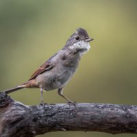 Возмущение :: Александр К.