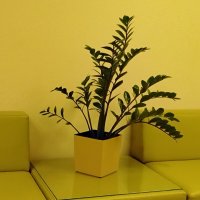 Растение :: Дмитрий Никитин