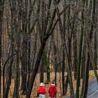 Осень... :: Сергей Шатохин 