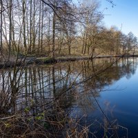 *** :: Николай Гирш