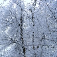 Как поработала зима! :: Nina Streapan