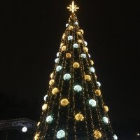 Великие Луки. Ёлка 2025-2026... :: Владимир Павлов