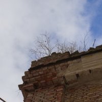 без названия :: fogmeadowww m