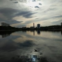 Тема с вариациями. Маюсь. :) :: Андрей Лукьянов