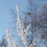 *** :: Виктор Иванович Чернюк