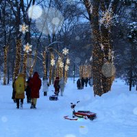 Первомайский сквер . Снегопад :: Татьяна Лютаева