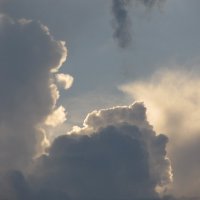 медведица и медвежонок :: Елена Шаламова