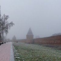Туманное, декабрьское утро. :: Милешкин Владимир Алексеевич 