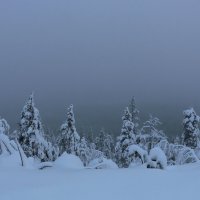 Зима в Пухатунтури :: Ольга 