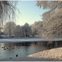 *** :: Aleksandr Gal