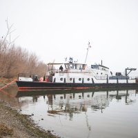 На Волге :: Олег Дорошенко