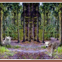 Фотозарисовка с собачками :: Владимир Кроливец