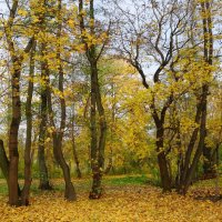 Ашманн парк, Калининград :: Рита Симонова