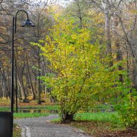 Ашманн парк, Калининград :: Рита Симонова