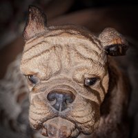 не грустите... :: Владимир Зеленцов