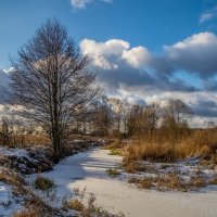 Подмосковный Декабрь 10 :: Андрей Дворников