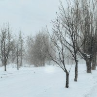 *** :: Яна Горбунова