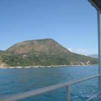 Природа Крыма :: Amazing Cosmea