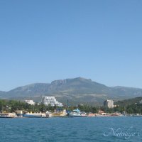 Природа Крыма :: Amazing Cosmea