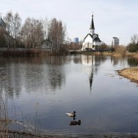 Весна 2025. Апрель :: Наталья Герасимова