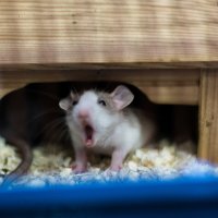 Караул!!! За нами следят!! :: Артём 