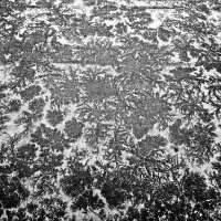 Морозные узоры на асфальте :: Валерий Иванович Морозные узоры на асфальте :: Валерий Иванович