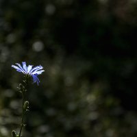 Усть-Каменогорск :: Дмитрий