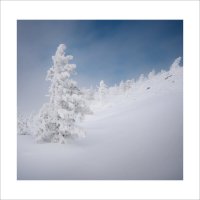 * :: Александр Иванов