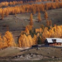 Домик в деревне :: Sergey38