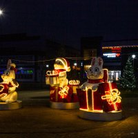 Весёлая компания :: Михаил "Skipper"