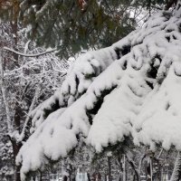 *** :: Валентина Береснева