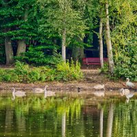 (°-°) :: Jakob Dick